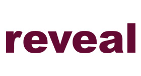 reveal partners logo